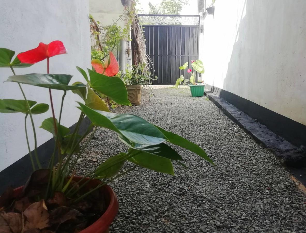 Hotel New Coral Garden Weligama Exterior foto